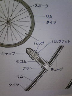 タイヤの構造と空気圧2